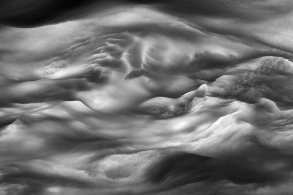 asperatus