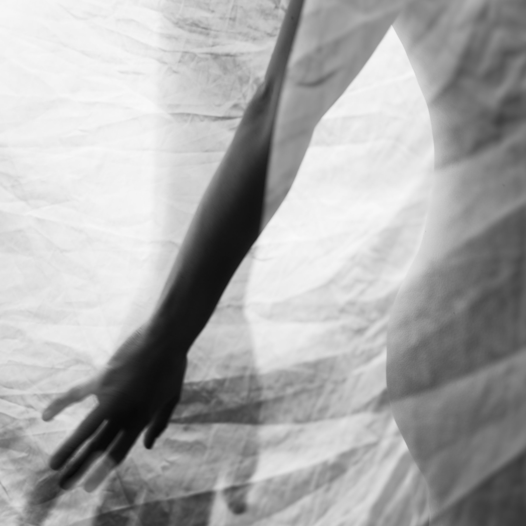 Velvet — Photography by Marieke (3)