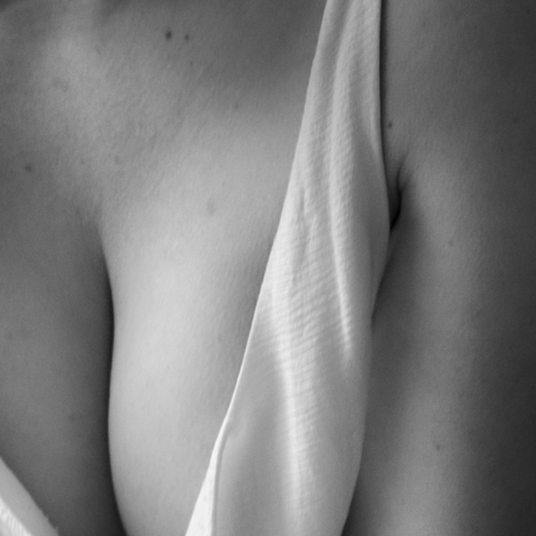 Velvet — Photography by Marieke (14)