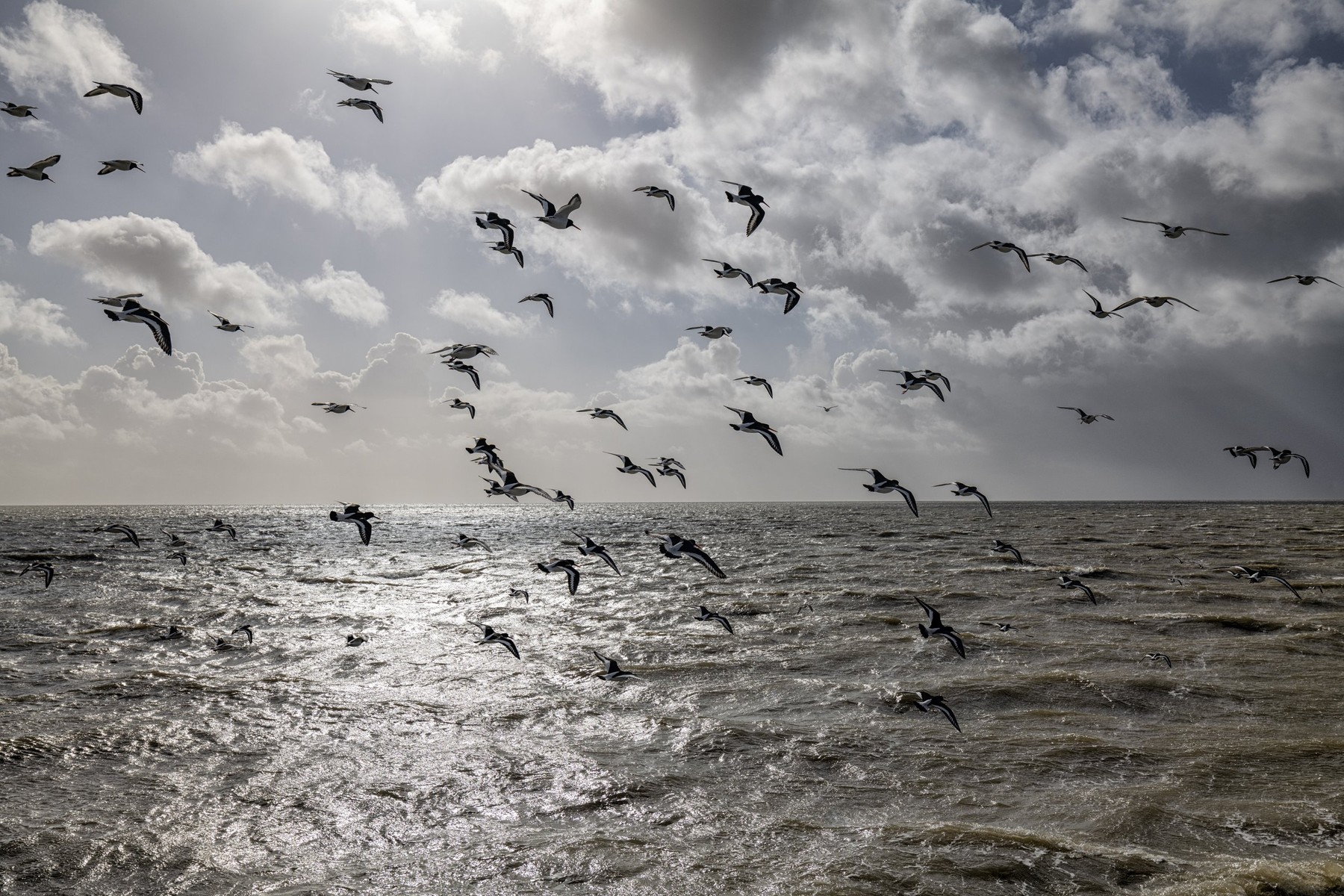 Wad of Wonders — Photography by Marieke (5)