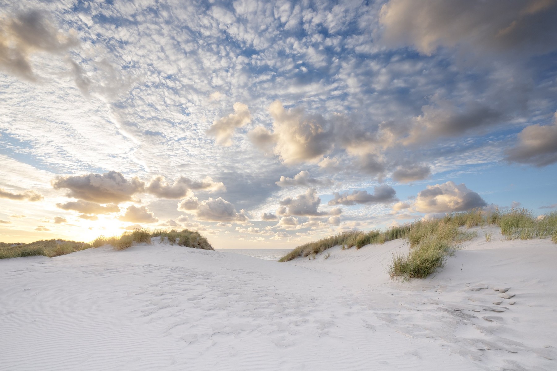 Wad of Wonders — Photography by Marieke (6)