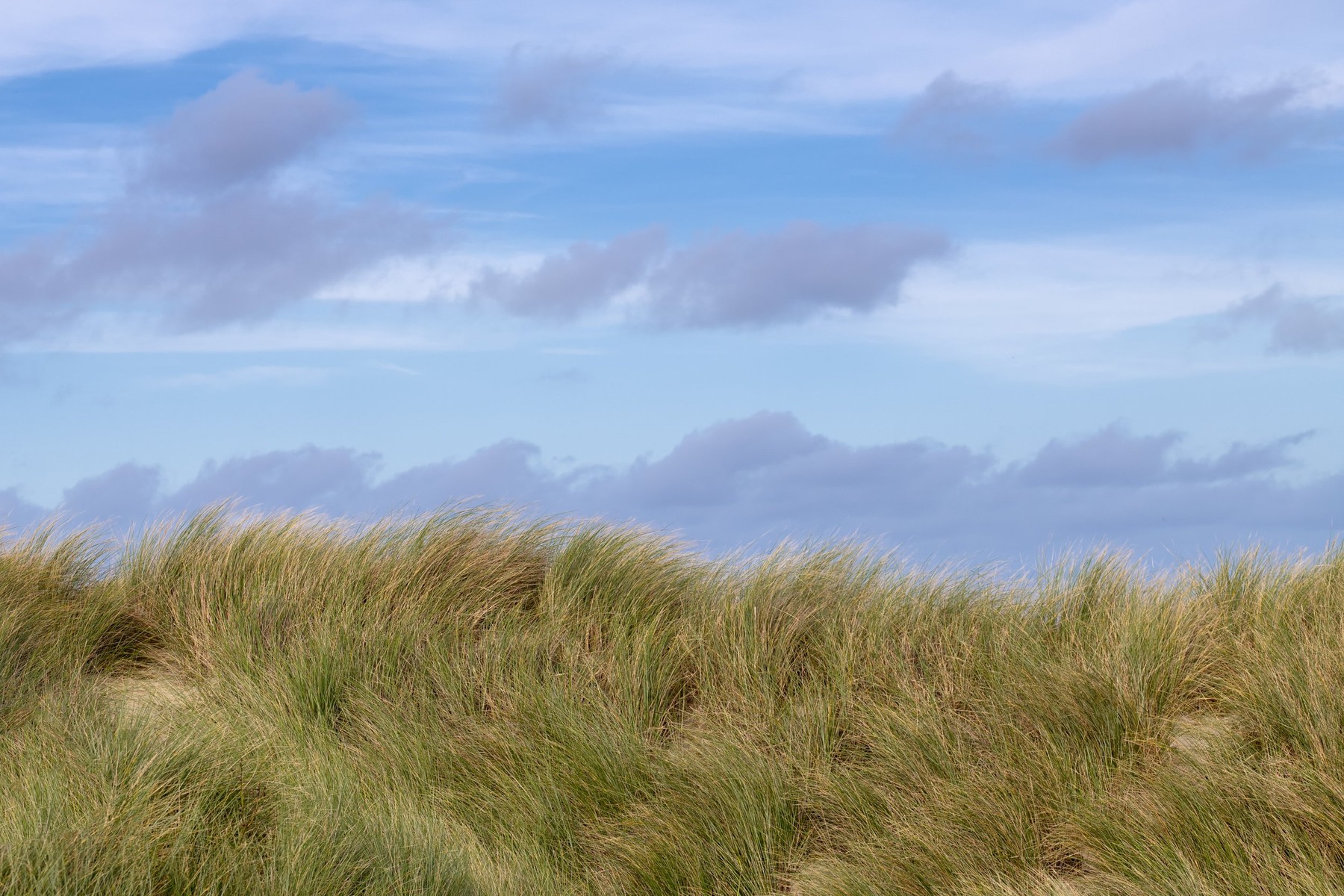 Wad of Wonders — Photography by Marieke (10)