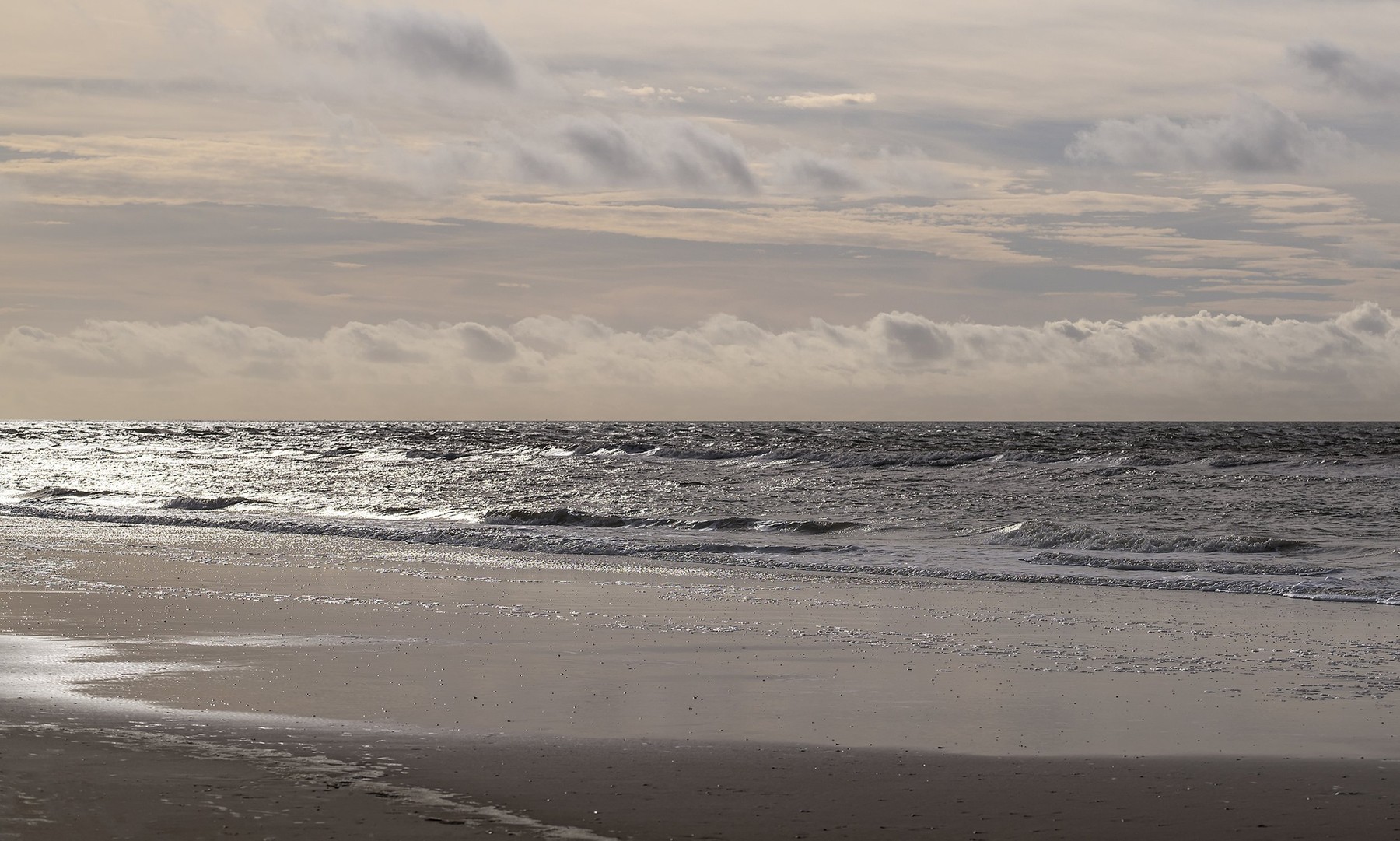 Wad of Wonders — Photography by Marieke (11)