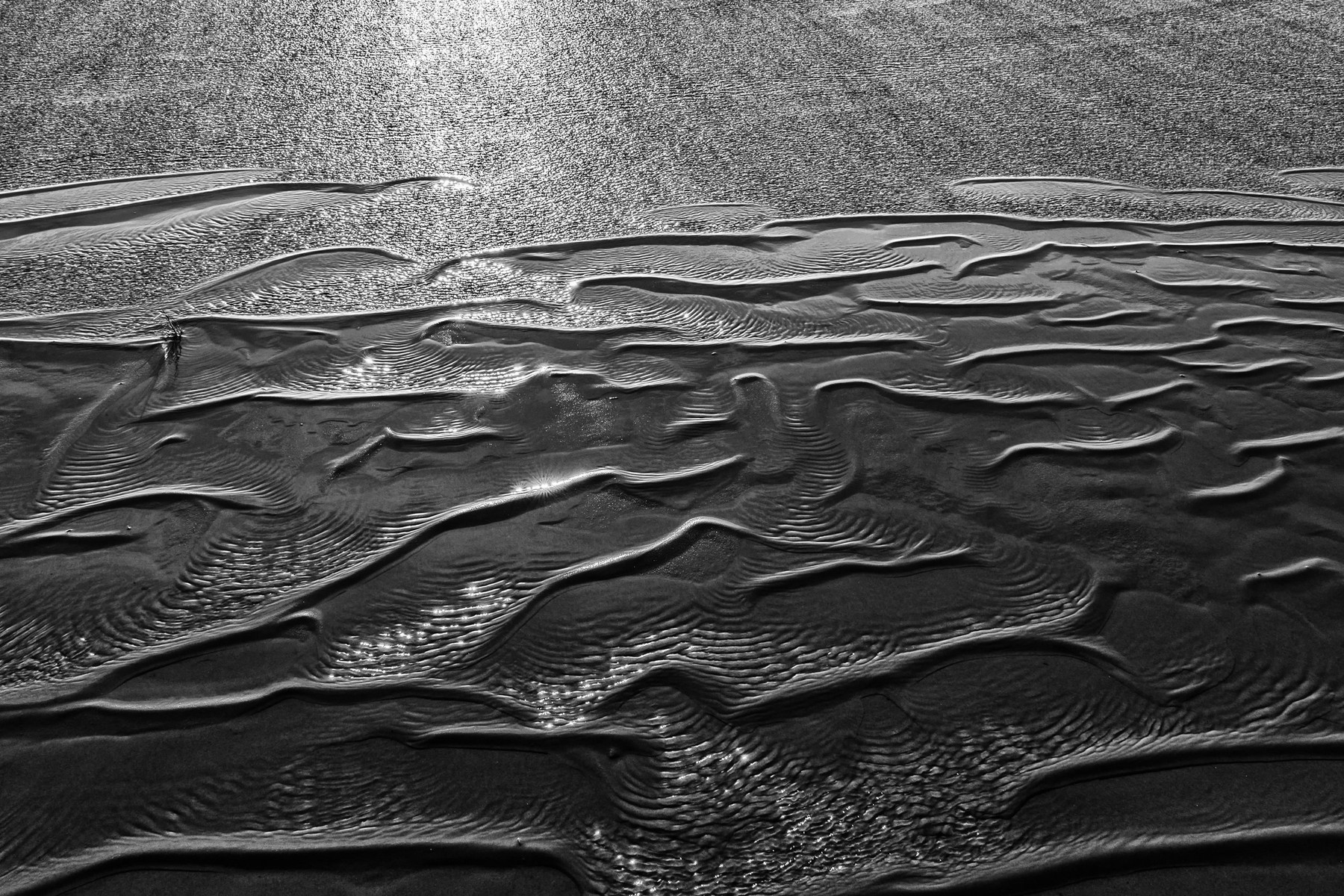 Wad of Wonders — Photography by Marieke (12)