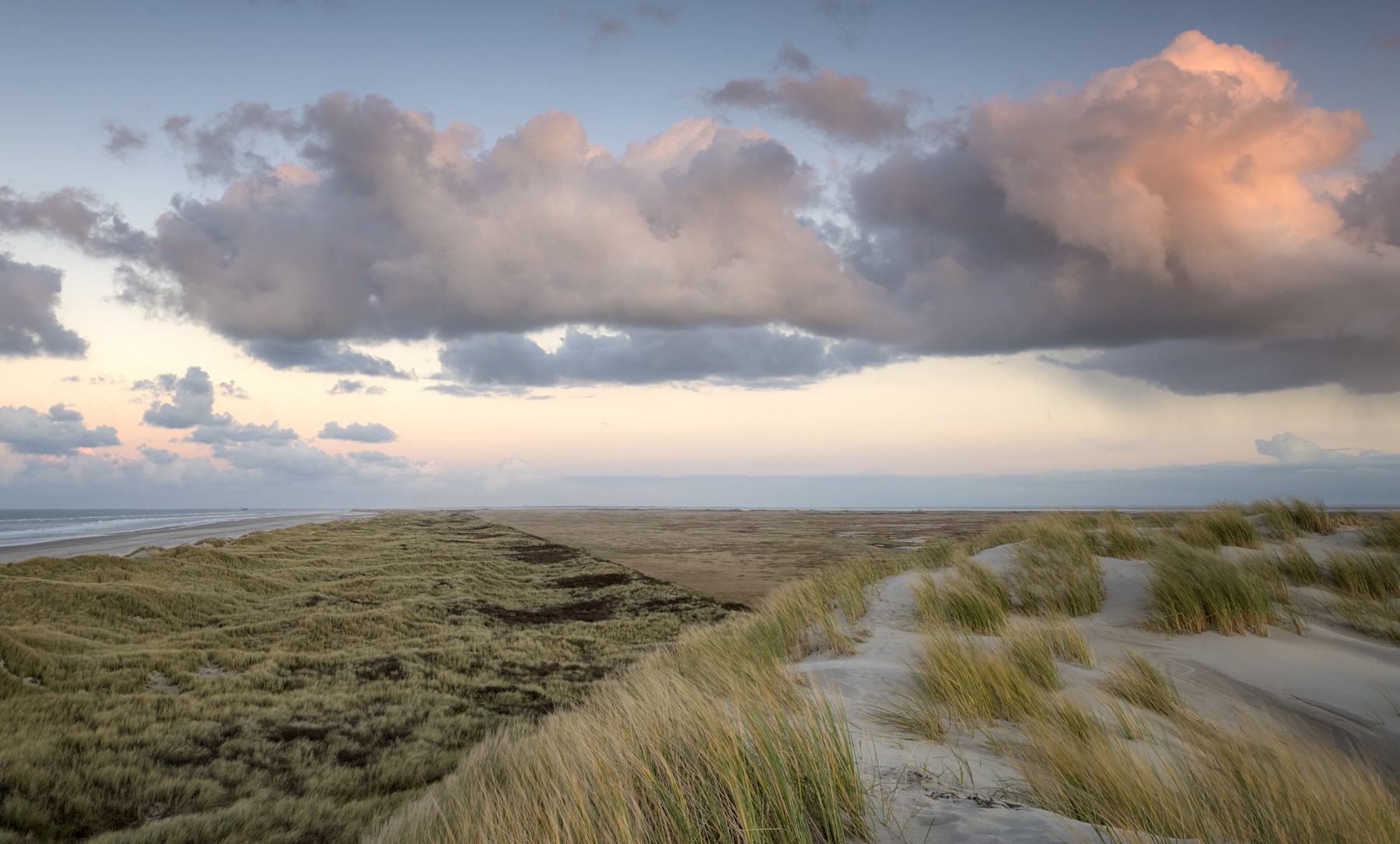 Wad of Wonders — Photography by Marieke (13)