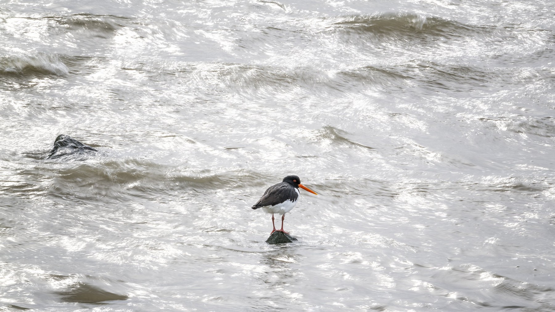 Wad of Wonders — Photography by Marieke (14)