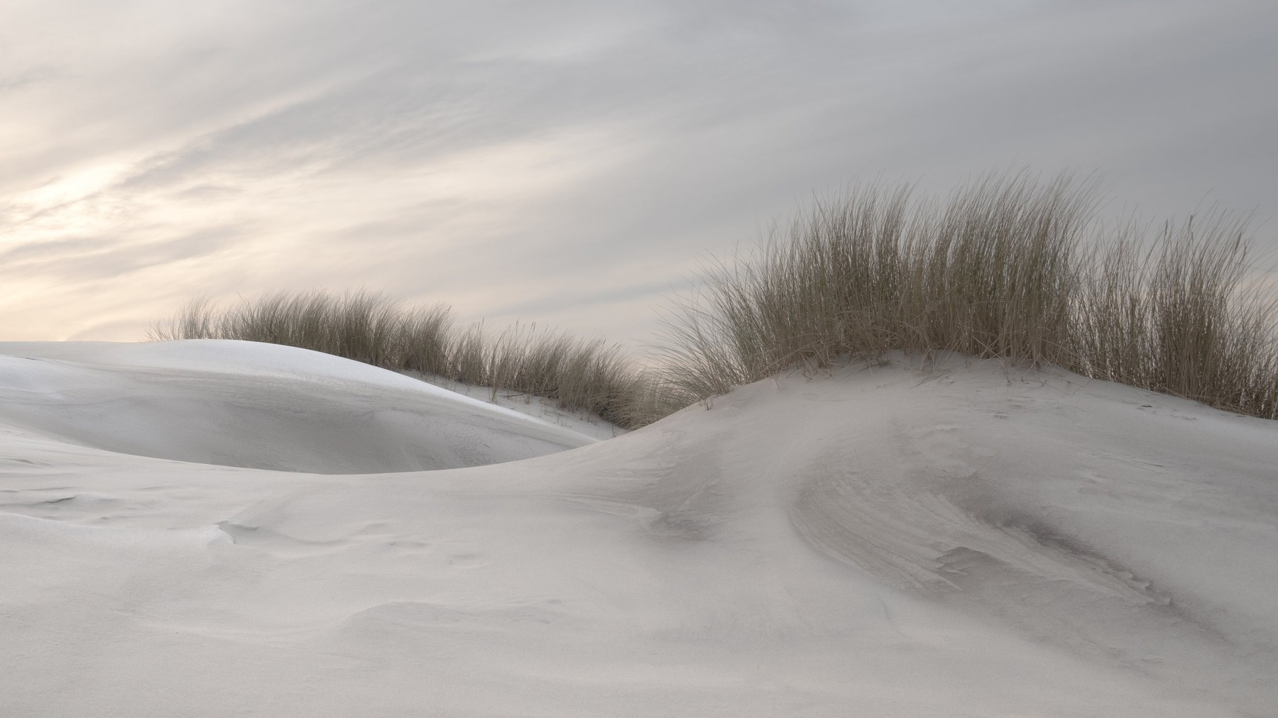 Wad of Wonders — Photography by Marieke (15)