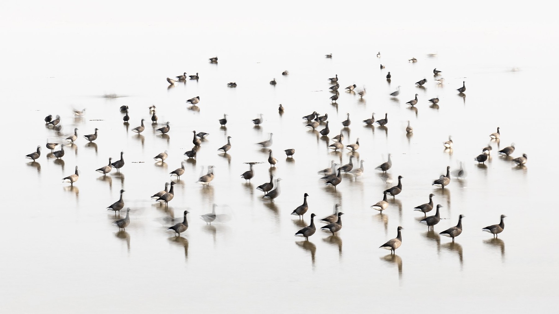 Wad of Wonders — Photography by Marieke (16)