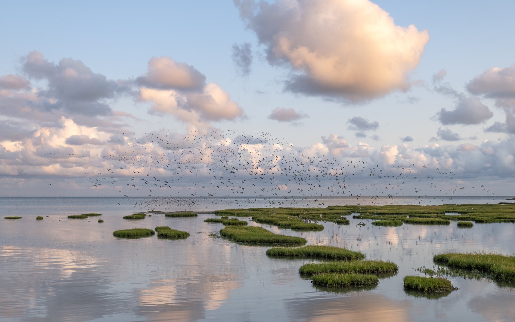 Wad of Wonders — Photography by Marieke (20)