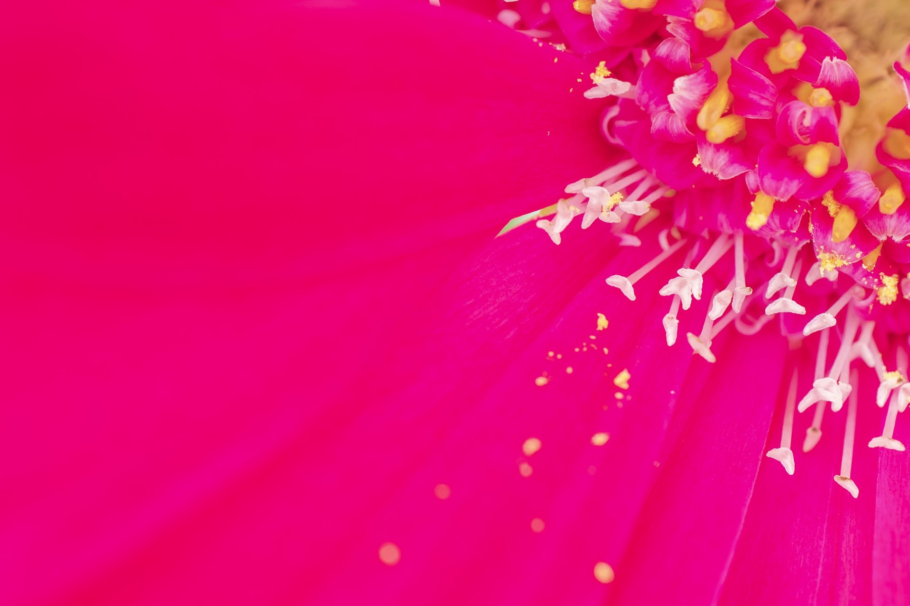World of Wonders — Photography by Marieke (1)