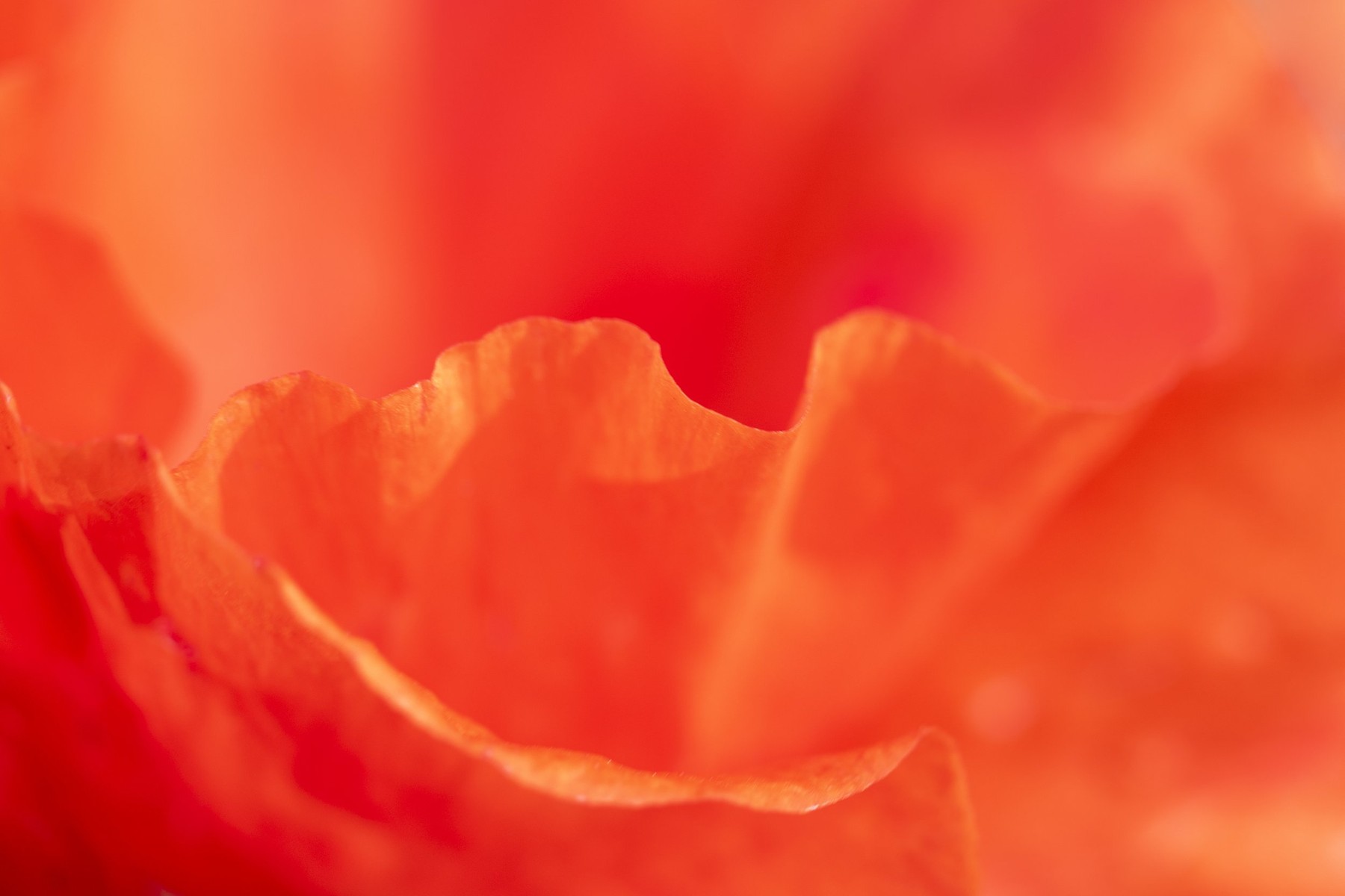 World of Wonders — Photography by Marieke (2)
