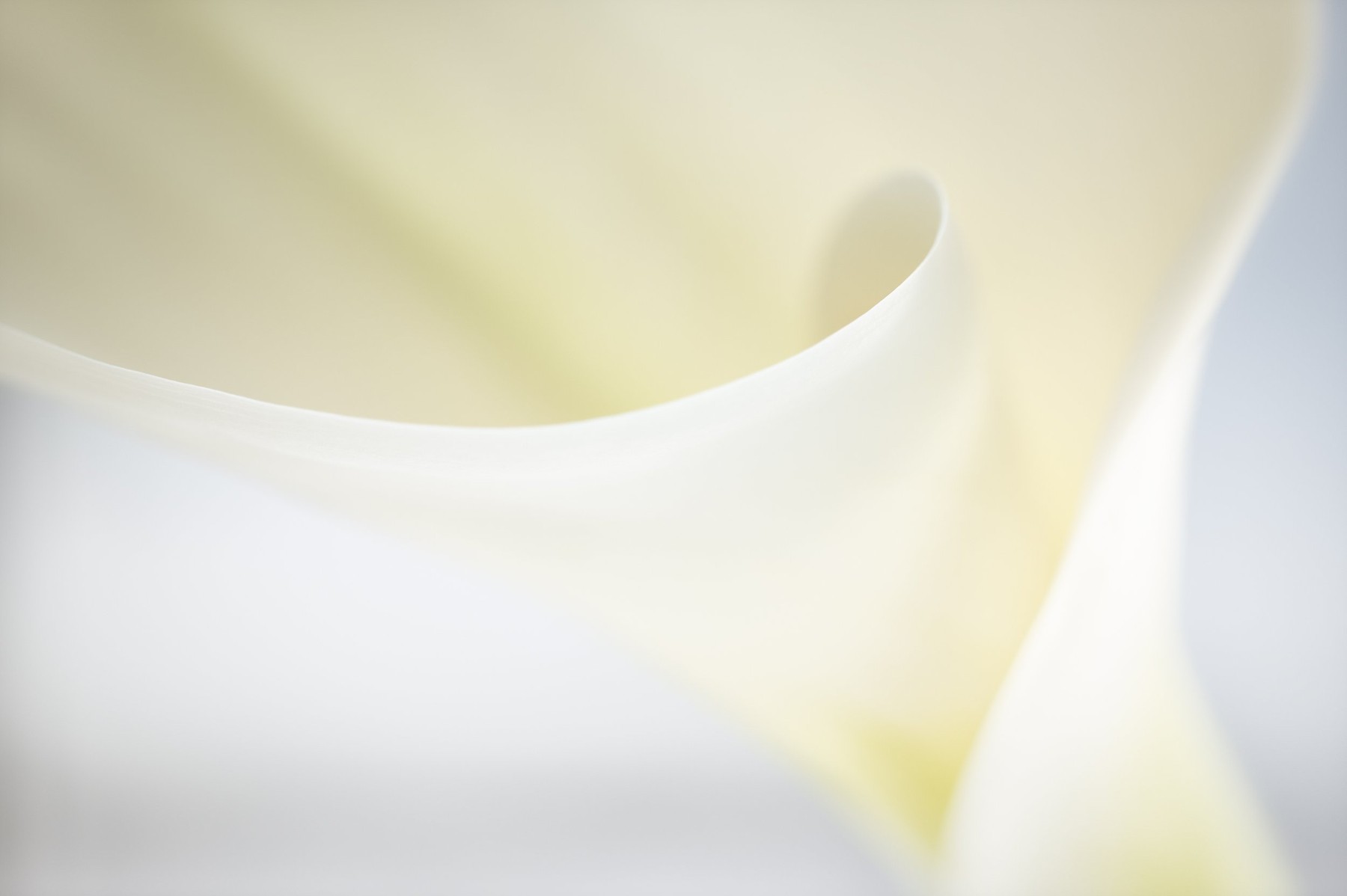 World of Wonders — Photography by Marieke (3)