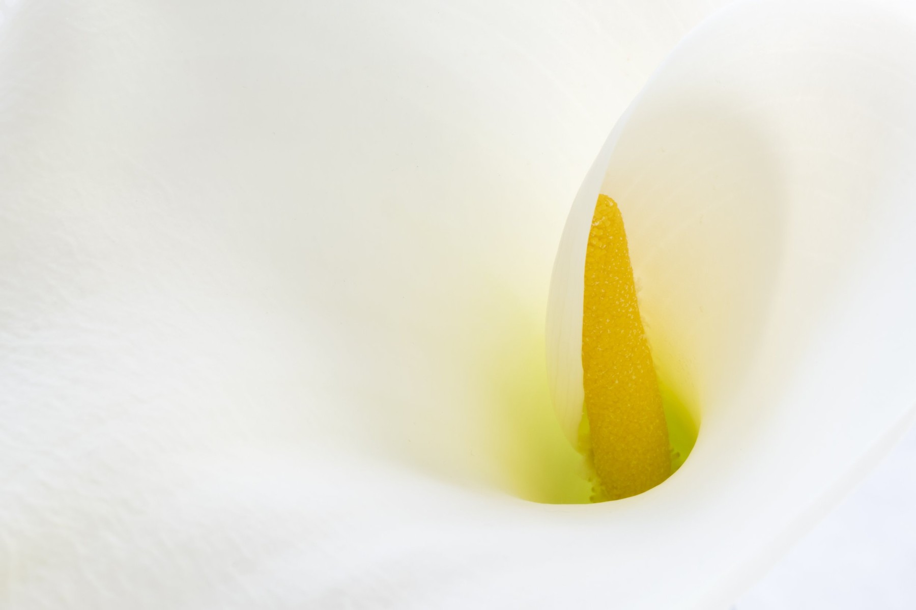 World of Wonders — Photography by Marieke (4)