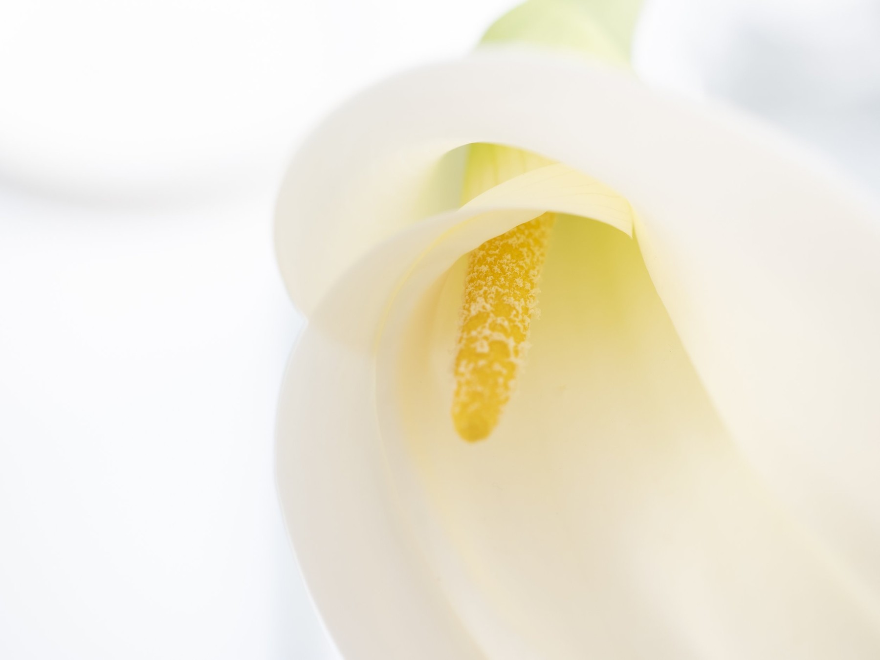 World of Wonders — Photography by Marieke (5)