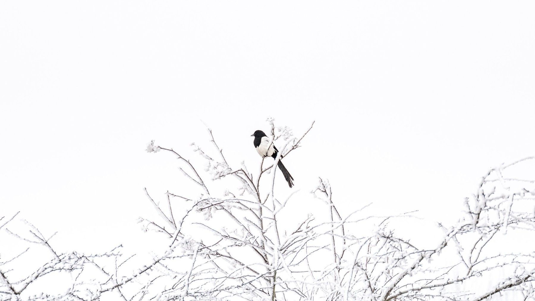 World of Wonders — Photography by Marieke (15)